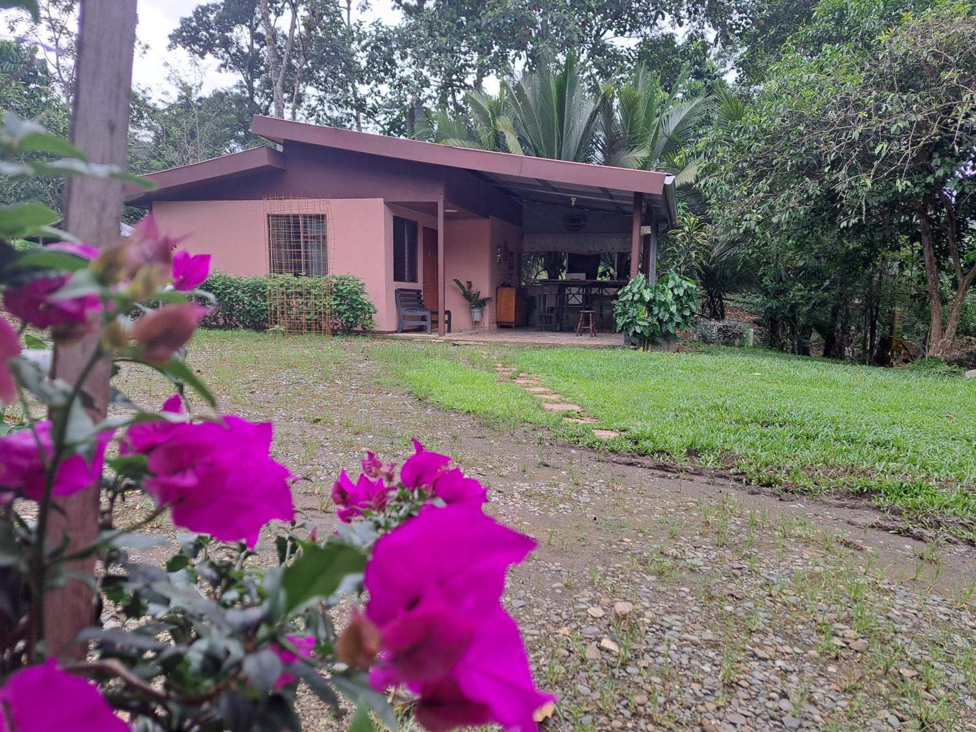 Hospedaje Luis Y Ana Bed and Breakfast Pejibaye Exterior foto